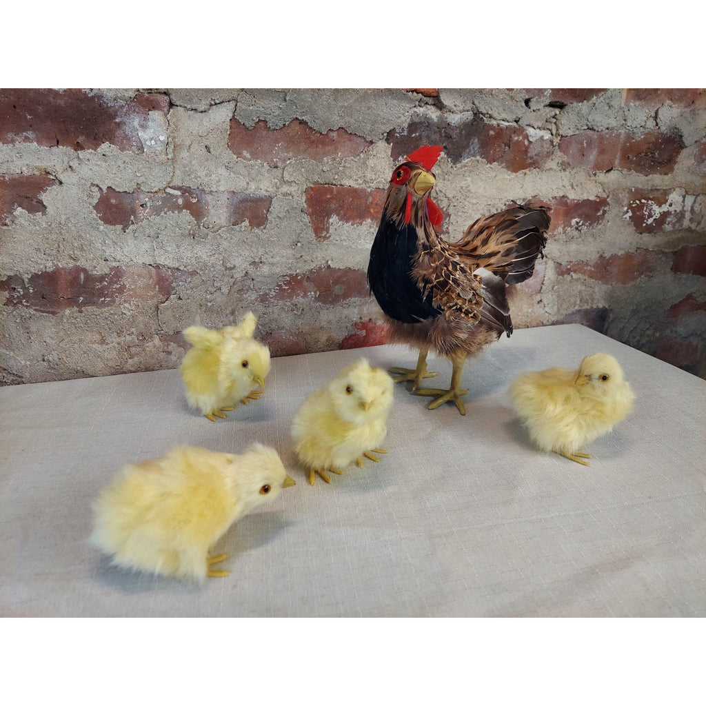 Basuo-9Q Realistic Small Feathered Hen with 4 Baby Chick Figurine