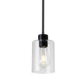 Modern Industrial Pendant Light Clear Glass Shade Hanging Ceiling Fixture Black