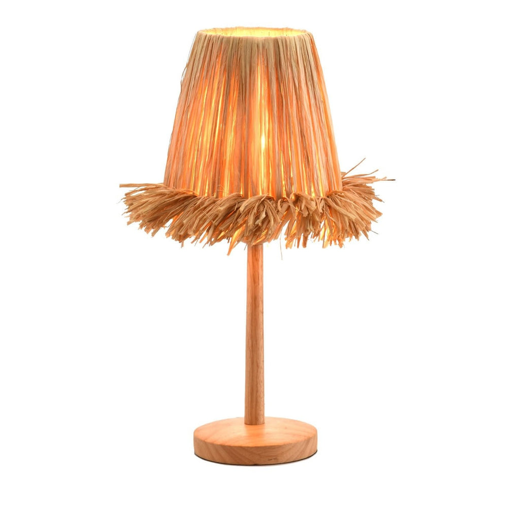 Boho Raffia Table Lamp Natural Wood Base USB Powered Dimmable Accent Light 19
