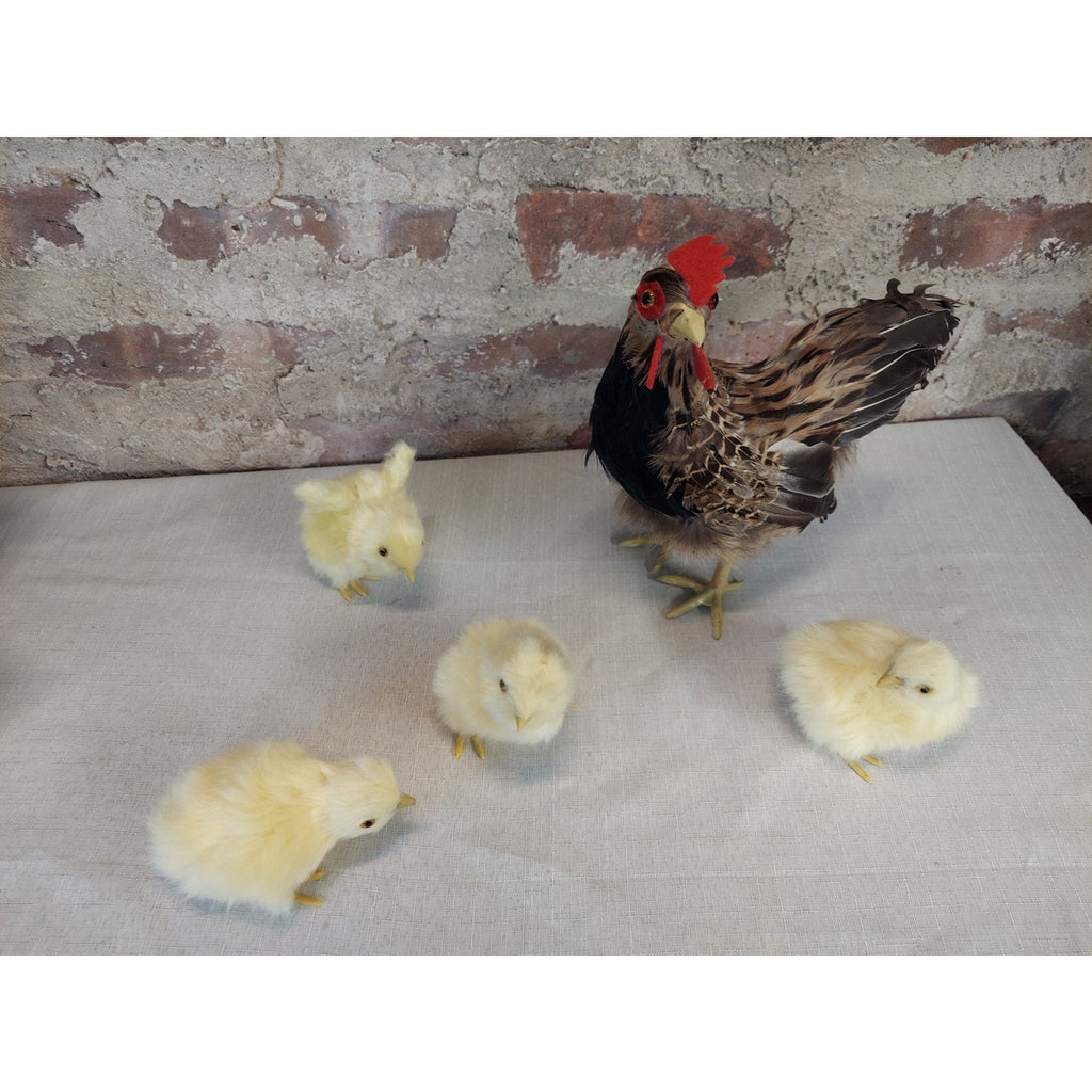 Basuo-9Q Realistic Small Feathered Hen with 4 Baby Chick Figurine
