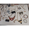 Costume Jewelry Lot Necklaces Earrings Bundle