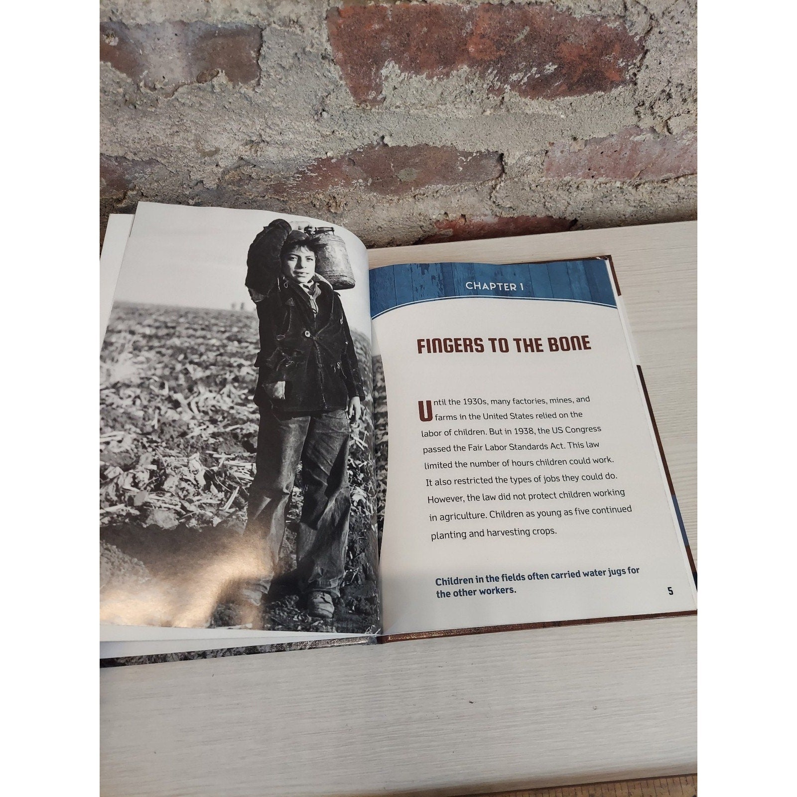 Children Working The Fields Anita Yasuda Hardcover Book US History Labor