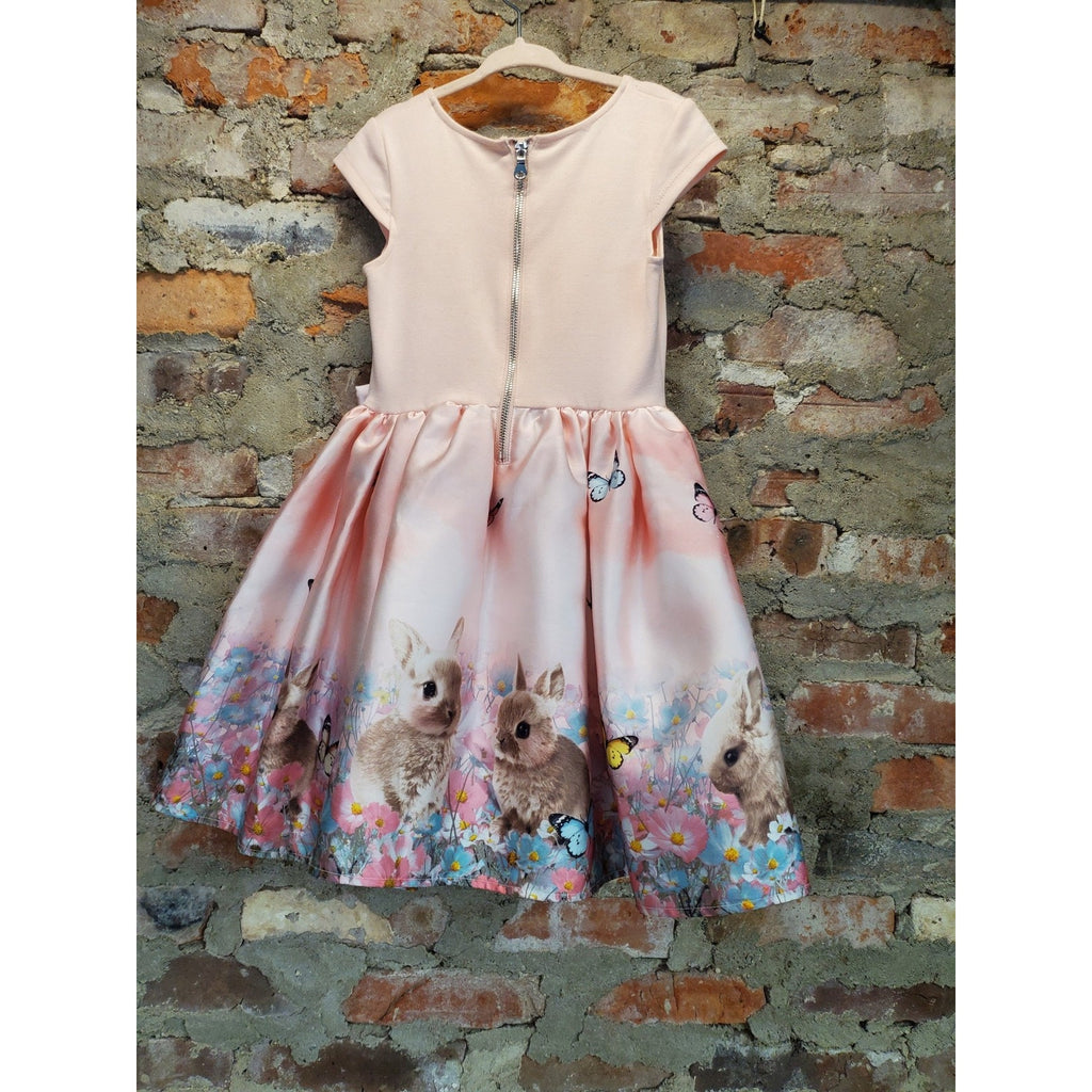 Girls 3T Kids Dress Easter Bunny Butterfly Floral Print Pink Ruffle