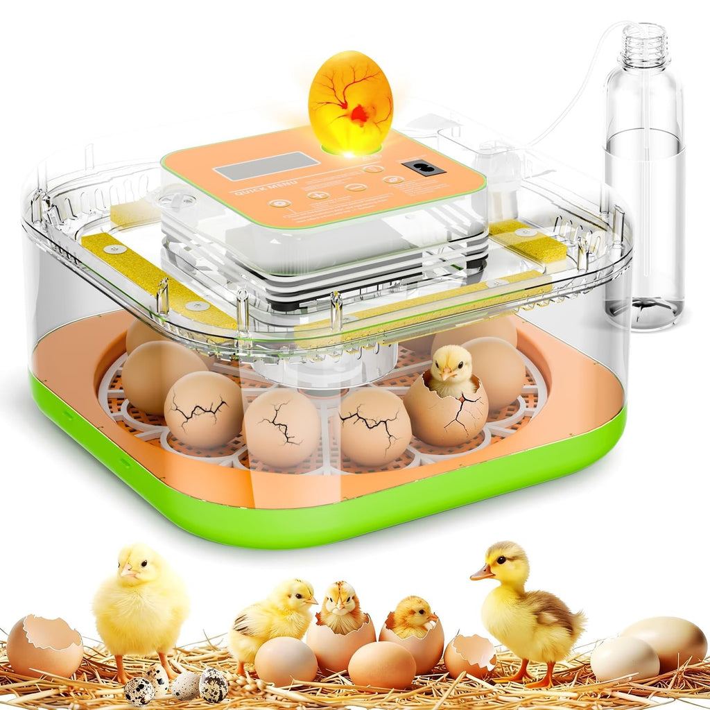 Automatic Digital Egg Incubator 12 Egg Hatcher Temperature Control Poultry